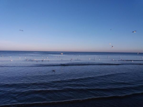 Sound Of The Sea